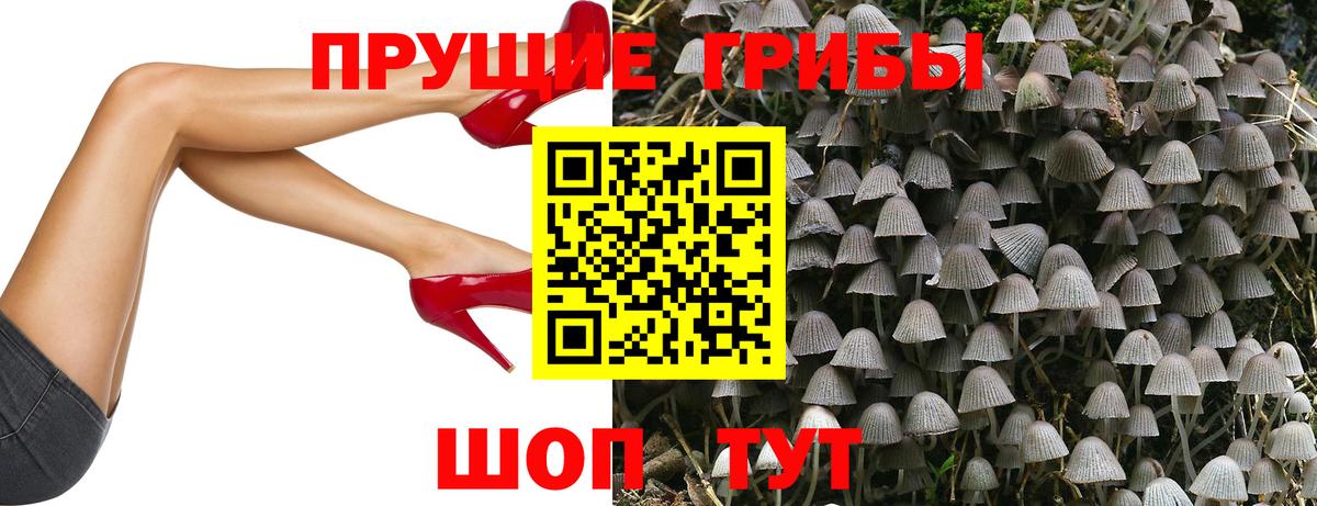Лесосибирск  Псилоцибиновые грибы Psilocybine cubensis  Вход с VPN 