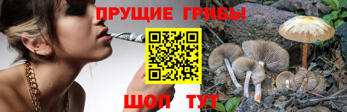 Галлюциногенные грибы прущие грибы Лесосибирск
